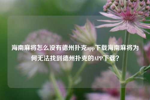 海南麻将怎么没有德州扑克app下载海南麻将为何无法找到德州扑克的APP下载？
