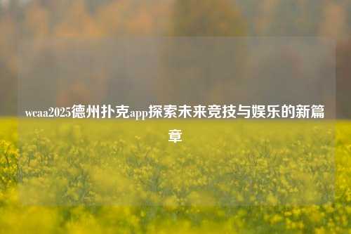 wcaa2025德州扑克app探索未来竞技与娱乐的新篇章