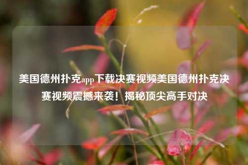 美国德州扑克app下载决赛视频美国德州扑克决赛视频震撼来袭！揭秘顶尖高手对决