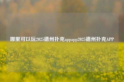 哪里可以玩2025德州扑克appapp2025德州扑克APP