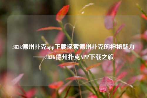 383k德州扑克app下载探索德州扑克的神秘魅力——383K德州扑克APP下载之旅
