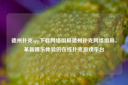 德州扑克app下载网络组局德州扑克网络组局，革新娱乐体验的在线扑克游戏平台