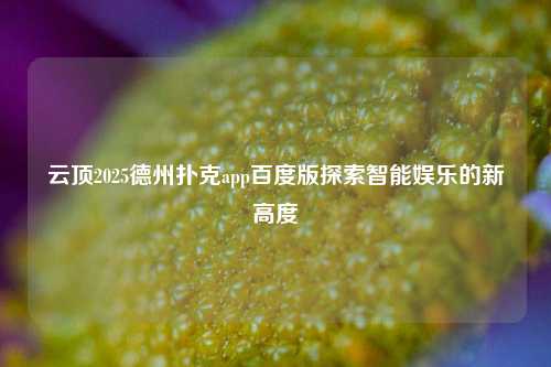 云顶2025德州扑克app百度版探索智能娱乐的新高度