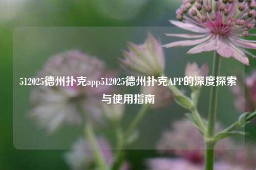 512025德州扑克app512025德州扑克APP的深度探索与使用指南