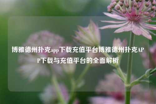 博雅德州扑克app下载充值平台博雅德州扑克APP下载与充值平台的全面解析