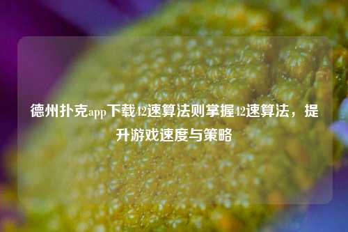 德州扑克app下载42速算法则掌握42速算法，提升游戏速度与策略