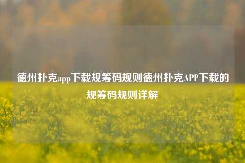 德州扑克app下载规筹码规则德州扑克APP下载的规筹码规则详解