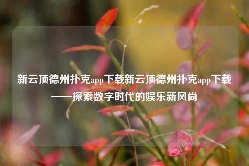 新云顶德州扑克app下载新云顶德州扑克app下载——探索数字时代的娱乐新风尚