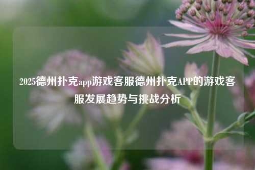 2025德州扑克app游戏客服德州扑克APP的游戏客服发展趋势与挑战分析