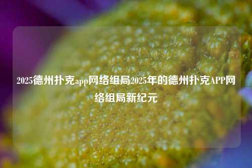 2025德州扑克app网络组局2025年的德州扑克APP网络组局新纪元