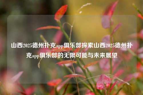 山西2025德州扑克app俱乐部探索山西2025德州扑克app俱乐部的无限可能与未来展望