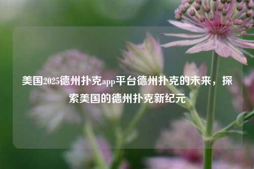 美国2025德州扑克app平台德州扑克的未来，探索美国的德州扑克新纪元