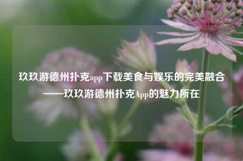 玖玖游德州扑克app下载美食与娱乐的完美融合——玖玖游德州扑克App的魅力所在