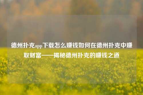 德州扑克app下载怎么赚钱如何在德州扑克中赚取财富——揭秘德州扑克的赚钱之道