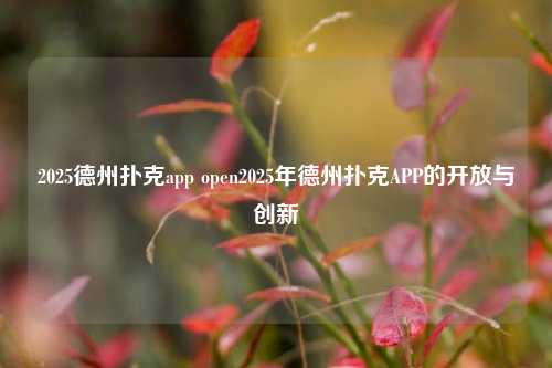 2025德州扑克app open2025年德州扑克APP的开放与创新