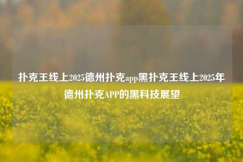 扑克王线上2025德州扑克app黑扑克王线上2025年德州扑克APP的黑科技展望