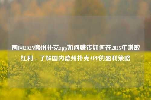 国内2025德州扑克app如何赚钱如何在2025年赚取红利 - 了解国内德州扑克APP的盈利策略