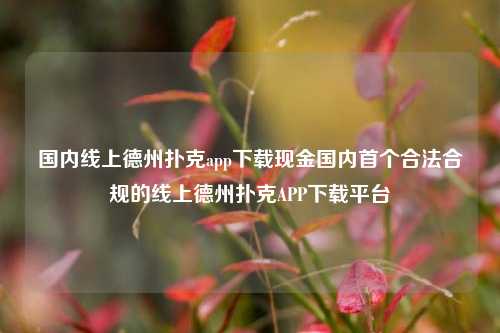 国内线上德州扑克app下载现金国内首个合法合规的线上德州扑克APP下载平台