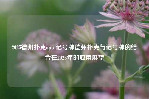 2025德州扑克app 记号牌德州扑克与记号牌的结合在2025年的应用展望
