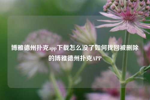 博雅德州扑克app下载怎么没了如何找回被删除的博雅德州扑克APP