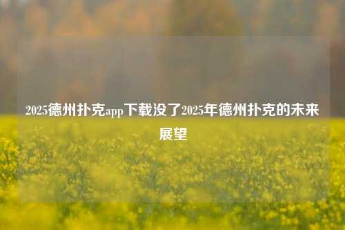 2025德州扑克app下载没了2025年德州扑克的未来展望