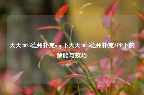 天天2025德州扑克app下天天2025德州扑克APP下的策略与技巧
