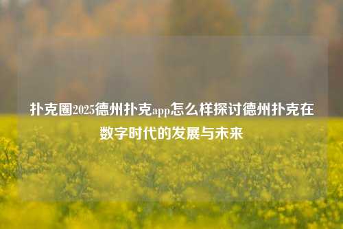 扑克圈2025德州扑克app怎么样探讨德州扑克在数字时代的发展与未来