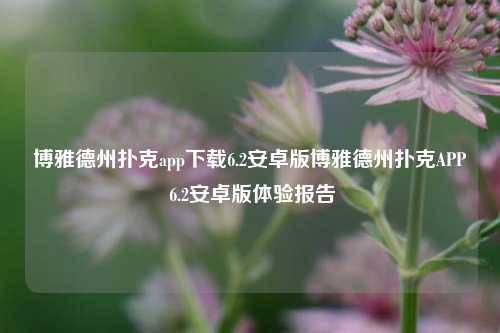 博雅德州扑克app下载6.2安卓版博雅德州扑克APP 6.2安卓版体验报告