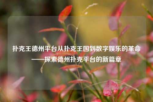 扑克王德州平台从扑克王国到数字娱乐的革命——探索德州扑克平台的新篇章