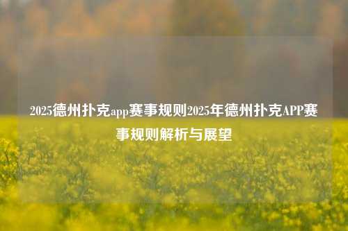 2025德州扑克app赛事规则2025年德州扑克APP赛事规则解析与展望
