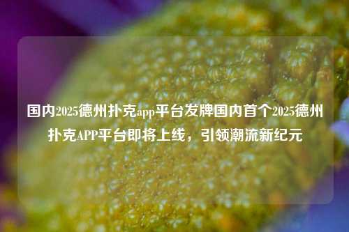 国内2025德州扑克app平台发牌国内首个2025德州扑克APP平台即将上线，引领潮流新纪元