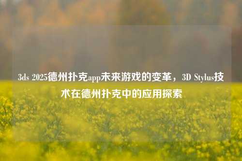 3ds 2025德州扑克app未来游戏的变革，3D Stylus技术在德州扑克中的应用探索