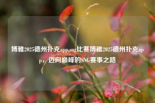 博雅2025德州扑克app,sng比赛博雅2025德州扑克app，迈向巅峰的SNG赛事之路